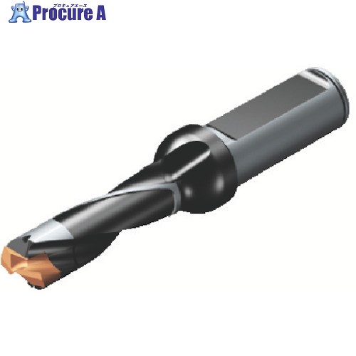 SANDVIK コロドリル870 頭顱取り替えっこ式せん孔機(446) 870-1150-9L16-3 (446) 1本 ■▼825-0919 【貨物輸送都度積もり書き】 ●KO521 切削・研削工具用アクセサリー-その他