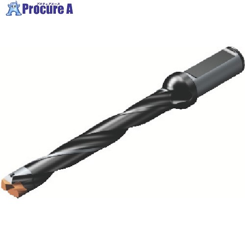 SANDVIK コロドリル870 ヘッド交換式ドリル(446) 870-1150-9L16-8 (446) 1本 ■▼825-0920 【送料都度見積】 ●KO521｜プロキュアエース