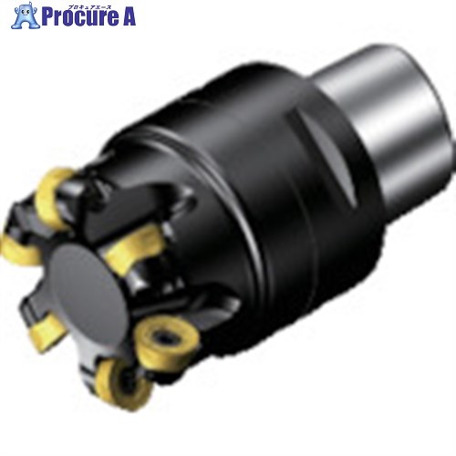 SANDVIK コロミル600 カッター(440) 600-063C6-12H (440) 1台 ■▼868-9379 【送料都度見積】 ●KO521