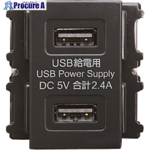 SUGATSUNE (210033280)DM2-U2P2-GR埋込申し受ける用USB差し込み DM2-U2P2-GR 10個 ■▼158-4980 ※人間宅様送ること不可
