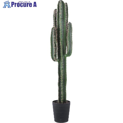 リレヤ イミテーショングリーン 観葉植物(人工植物) CT-01 CT-01 1個 ■▼253-9178 【代引決済不可】【送料都度見積】