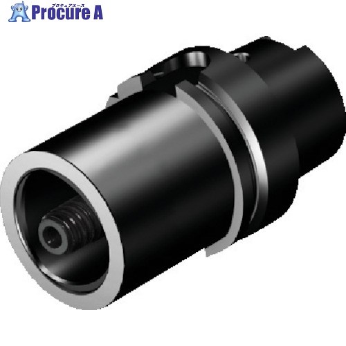 SANDVIK コロマントキャプトアダプタ(530) C5-390.55-30 080 (530) 1個 ■▼567-3747 【送料都度見積】 ●KO521
