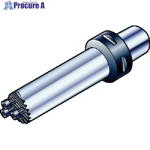 SANDVIK コロマントキャプト コロターンSL超硬補強防振ボーリングバイト(410) C8-SL3C32352CR (410) 1個 ■▼568-7616 【送料都度見積】 ●KO521