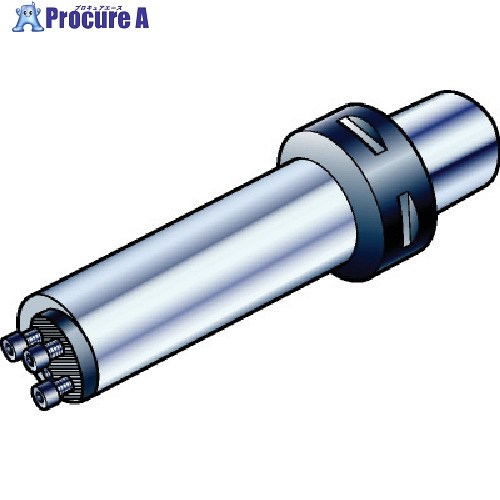SANDVIK コロマントキャプト コロターンSL超硬補強防振ボーリングバイト(410) C8-SL3C50568CR-40L (410) 1個 ■▼568-7632 【送料都度見積】 ●KO521｜プロキュアエース 984,936円