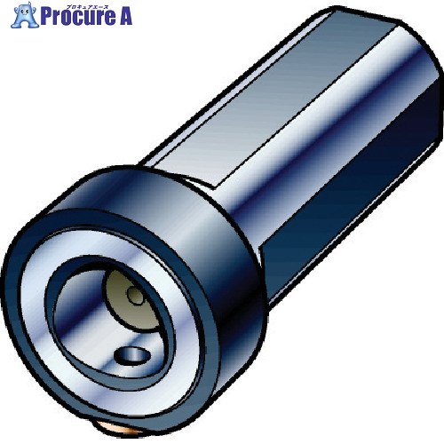 SANDVIK コロマントキャプト 手動クランプホルダ(550) C6-NC3000-14054-60 (550) 1個 ■▼612-6545 【貨物輸送都度積もり書き】 ●KO521