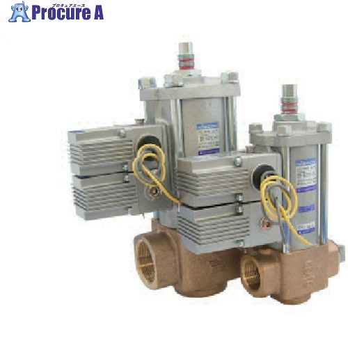 日本精器 2道のり円柱弁膜 25A AC100V BN-5CP21-25-E100 1個 ■▼838-7727【代引決済不可】