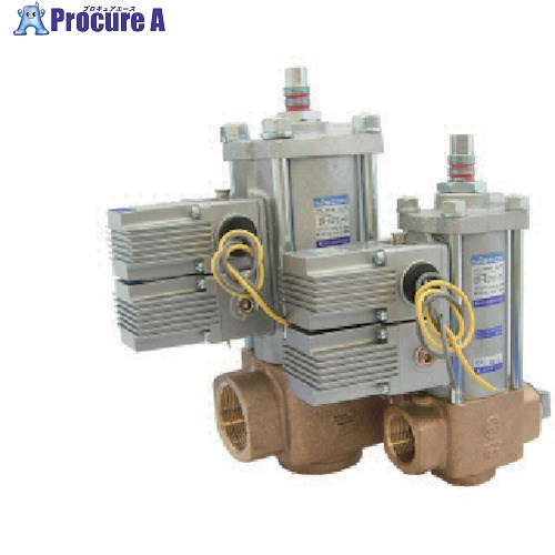 日本精器 2道のり円柱弁膜 25A AC200V BN-5CP21-25-E200 1個 ■▼838-7728【代引決済不可】