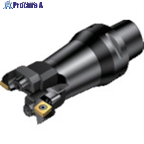 SANDVIK コロボアBR20 カッティングユニット(530) BR20-36CC06F-C3 (530) 1個 ■▼868-9620 【送料都度見積】 ●KO521