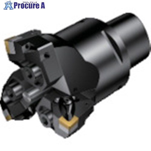 SANDVIK コロボアBR30 カッティングユニット(530) BR30-152SN12Y-C8 (530) 1個 ■▼868-9697 【送料都度見積】 ●KO521