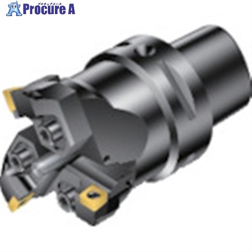 SANDVIK コロボアBR30 切り立てる社会的単位(530) BR30-45SP06Y-C3 (530) 1個 ■▼868-9731 【貨物輸送都度積もり書き】 ●KO521