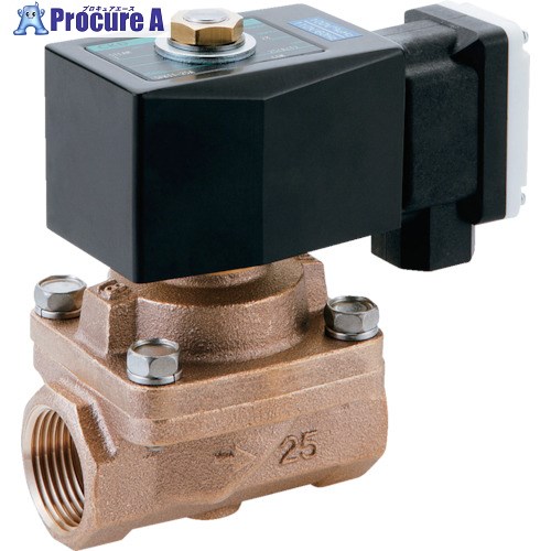 CKD 蒸気用パイロットキック式2ポート電磁弁 SPK11-20A-K4M-AC200V 1個 ■▼118-8171 【代引決済不可】【送料都度見積】
