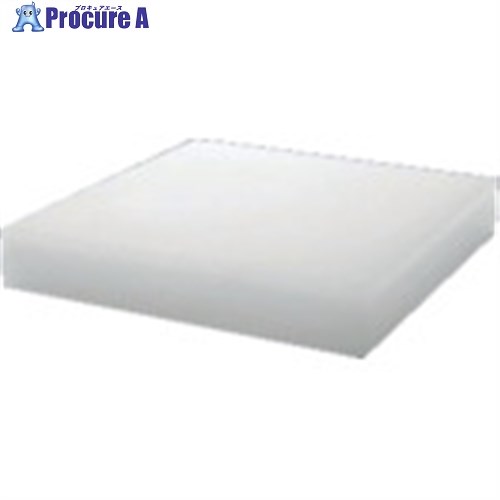 タキロン PP一皿 TS評点 100T×500×1000 白 TP-PP-PLATE-P370-100-500-1000 1枚 ■▼124-5255 【貨物輸送都度積もり書き】※人間宅様送ること不可