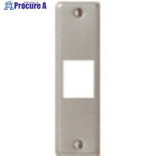 Panasonic 盛りだくさん色合いモビール間仕切り用新金属元素P1コ用 WN3851 20個 ■▼158-1468 【貨物輸送都度積もり書き】 コンセント-木材・建築資材・設備-花・ガーデン・DIY
