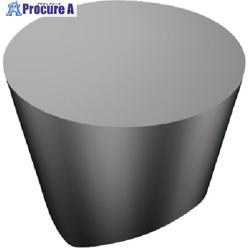SANDVIK T-Max 旋削用ポジチップ(615) 6160 RPGX060400E 6160 (615) 10個 ■▼168-1475 【送料都度見積】 ●KO521｜プロキュアエース