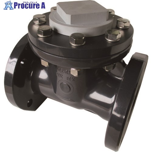 エスロン ストレーナ 本体材質PVC シール材質FKM JIS10KF 65A ST65FV 1台 ■▼210-2725 【代引決済不可】【送料都度見積】