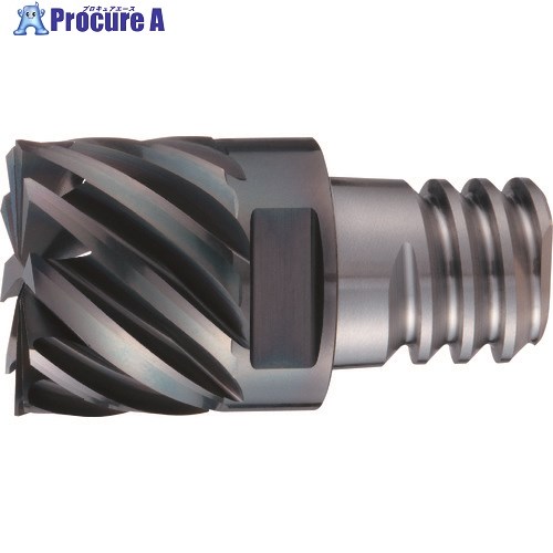 OSG PHOENIX ヘッド交換式エンドミル PXM スクエア・コーナラジアスタイプ 7830112 PXM PXSM160C16-06R015 (7830112) 1個 ■▼226-9149 【送料都度見積】 ●YA513