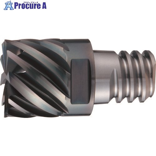 OSG PHOENIX ヘッド交換式エンドミル PXM スクエア・コーナラジアスタイプ 7830095 PXM PXSM100C10-06R005 (7830095) 1個 ■▼227-2208 【送料都度見積】 ●YA513