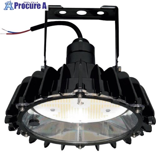 日立 高天井用LEDランプ アームタイプ 特殊環境対応 屋外形(塩害対応) RBME16CMNC1 1台 ■▼256-1690 【送料都度見積】