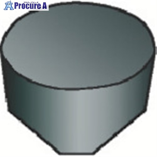 SANDVIK T-Max 旋削用ポジチップ(615) 6060 RPGX120700E  6060 (615) 10個 ■▼339-3895 【送料都度見積】 ●KO521 花・ガーデン・DIY-DIY・工具-電動・エア工具用アクセサリー