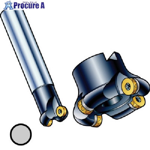 SANDVIK コロミル200カッター(450) R200-064Q27-16L (450) 1本 ■▼573-7001 【送料都度見積】 ●KO521