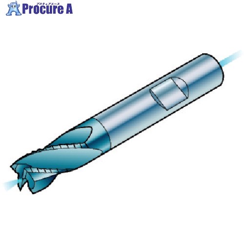 SANDVIK コロミルCoroMill[[R上]]Plura チップブレーカー付き添い人荒製作用超硬エンドミル(730) 1640 R215.34C10040-DC22K  1640 (730) 1個 ■▼573-8008 【貨物輸送都度積もり書き】 ●KO521