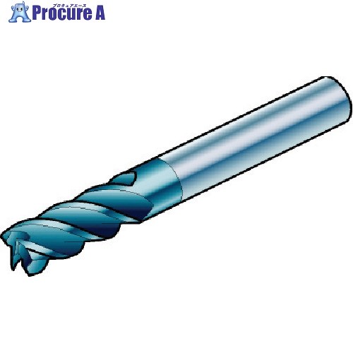 SANDVIK コロミルプルーラ 超硬ソリッドエンドミル(730) 1640 R216.34-10050-BC22P 1640 (730) 1個 ■▼574-3575 【送料都度見積】 ●KO521
