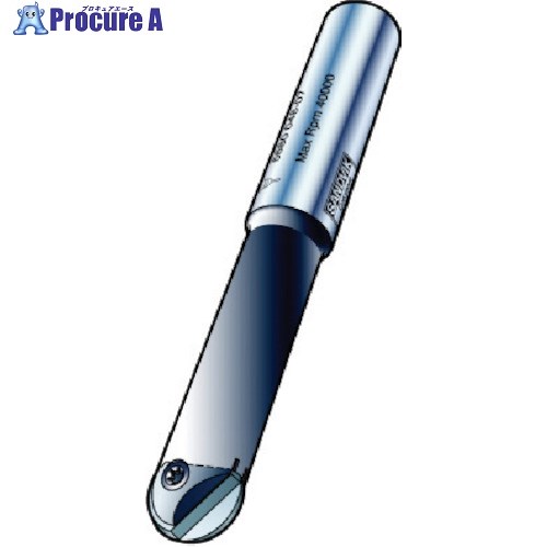 SANDVIK コロミルRCoroMill[[R上]]216F プロファイルフライス製作用截断機(440) R216F-16A20S-100 (440) 1本 ■▼574-7171 【貨物輸送都度積もり書き】 ●KO521