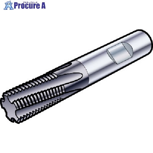 SANDVIK コロミルCoroMill[[R上]]Plura スレッドミリング加工用超硬エンドミル(730) 1630 R217.13-032070AC08N 1630 (730) 1本 ■▼574-7376 【送料都度見積】 ●KO521｜プロキュアエース