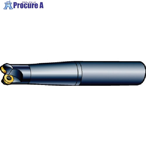 SANDVIK コロミルCoroMill[[R上]]300 プロファイルフライス加工用カッター(440) R300-20T10-10L (440) 1台 ■▼575-1748 【送料都度見積】 ●KO521｜プロキュアエース
