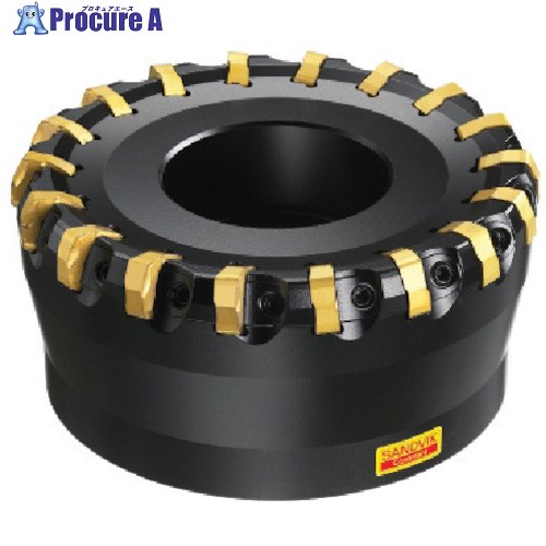 SANDVIK コロミル365カッター(450) R365-160Q40-W15H (450) 1台 ■▼575-5964 【送料都度見積】 ●KO521