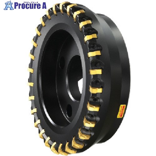 SANDVIK コロミル365カッター(450) R365-200Q60-W15H (450) 1台 ■▼575-5972 【送料都度見積】 ●KO521