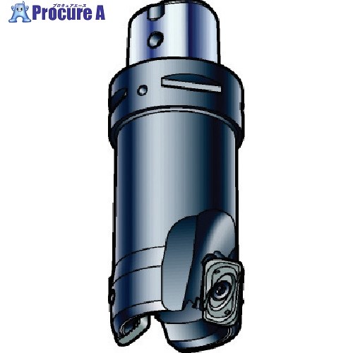 SANDVIK コロミル790カッター(440) R790-050C5S1-22L (440) 1台 ■▼576-0399 【送料都度見積】 ●KO521