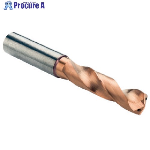 SANDVIK コロドリルデルタ-C 超硬ソリッドドリル(720) 1220 R840-0450-30-A1A 1220 (720) 1本 ■▼576-3002 【送料都度見積】 ●KO521