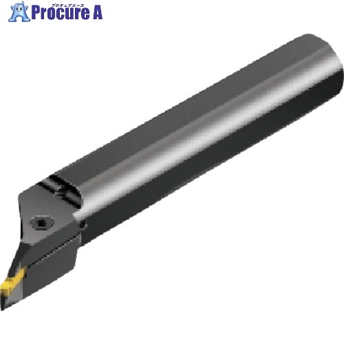 SANDVIK コロカット1・2 突切り・溝入れ刺し通す働き口(480) RAX123J25-40B-020 (480) 1本 ■▼577-6856 【貨物輸送都度積もり書き】 ●KO521