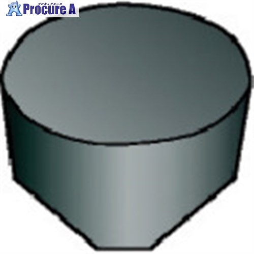SANDVIK T-Max 旋削用ポジチップ(615) 6060 RPGX 09 07 00T01020 6060 (615) 10個 ■▼578-0608 【送料都度見積】 ●KO521