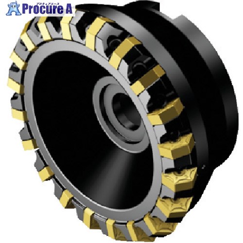 SANDVIK コロミル S-60カッター(450) S-60-125Q40-09HX (450) 1台 ■▼578-1515 【送料都度見積】 ●KO521