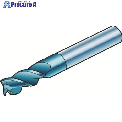 SANDVIK コロミルプルーラ 超硬ソリッドエンドミル(730) H10F R216.33-20040-AC38U H10F (730) 1個 ■▼611-0355 【送料都度見積】 ●KO521
