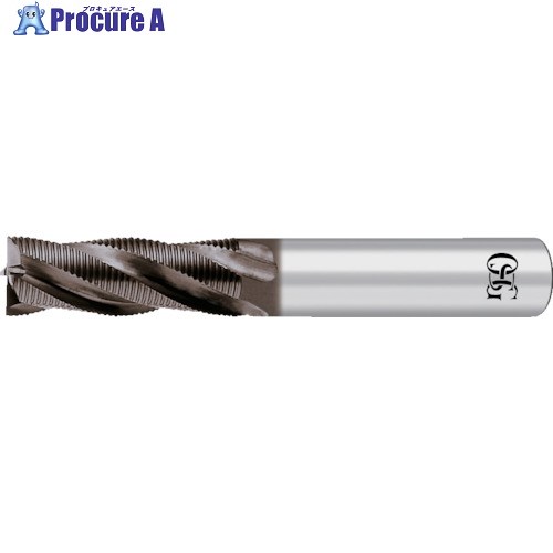 OSG WXL厚地の外套 ラフィングミディアム ファインピッチ 8408869 WH-RENF-19(8408869) 1本 ■▼824-3735 【貨物輸送都度積もり書き】 ●YA513 花・ガーデン・DIY-DIY・工具