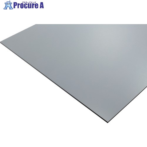 タキロン 塩ビ板 プレスプレート グレーT938 6MM T938 6 1X2 2枚 ■▼830-4102 【送料都度見積】 ※個人宅様送り不可