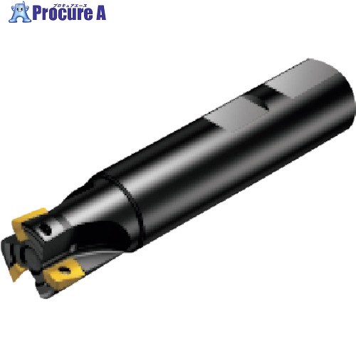SANDVIK コロミルCoroMill[[R上]]390 肩削り截断機(440) R390-025B25-17L (440) 1台 ■▼858-0411 【貨物輸送都度積もり書き】 ●KO521