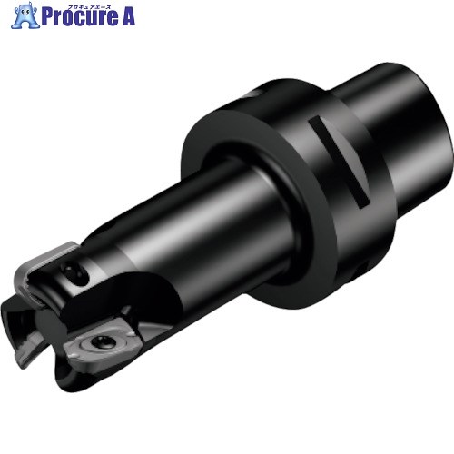 SANDVIK コロミル790カッター(440) R790-100C8S1-22M (440) 1台 ■▼858-0445 【送料都度見積】 ●KO521