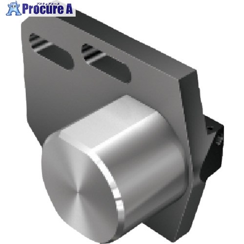 SANDVIK コロボア825 アダプタ(530) S24-825FG-CW (530) 1個 ■▼858-0470 【送料都度見積】 ●KO521