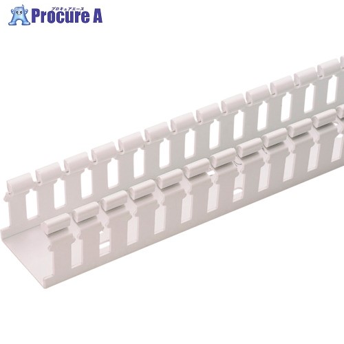 PANDUIT ヒンジタイプ架線導管(PVC製 鉛無償性) 白 H2X4WH6 6FT(フート) 1本 H2X4WH6 1本 ■▼167-6161 【貨物輸送都度積もり書き】※車上乗り合い船
