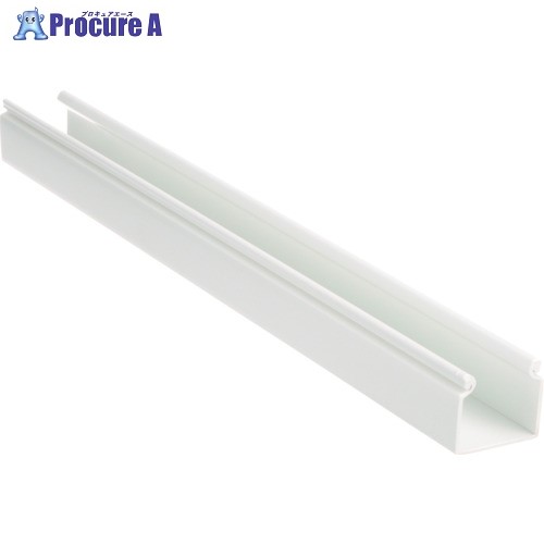 PANDUIT ヒンジタイプ密閉型配線ダクト(PVC製 鉛フリー) 白 取付穴なし HS1.5X3WH6NM 6FT(フィート) 1本 HS1.5X3WH6NM 1本 ■▼167-6184 【送料都度見積】