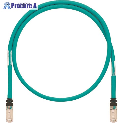 PANDUIT 600V高ノイズシールドSF/UTPケーブル CAT5E 0.3m 黒 ISTPHCH0.3MBL ISTPHCH0.3MBL 10本 ■▼267-3284 【送料都度見積】