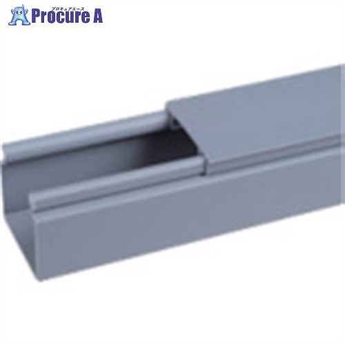 PANDUIT ヒンジタイプ密閉型配線ダクト(PVC製 鉛フリー)ライトグレー 6FT(フィート) 1本 HS1.5X3LG6NM 6本 ■▼731-3187 【送料都度見積】※車上渡し｜プロキュアエース