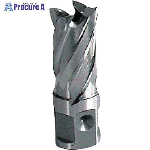 大見 25SQハイスカッター 11.5mm HCSQ115 1個 ■▼807-9913 【送料都度見積】