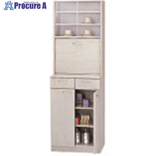 PLUS 616261)NA-2 ビジネスキッチン NA-F600 NA-F600 1台 ■▼209-3678 【送料都度見積】｜プロキュアエース