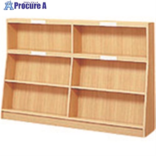 PLUS 23105)傾斜角度書物棚(片面型) TJ-B23KK TJ-B23KK 1台 ■▼210-2088 【貨物輸送都度積もり書き】