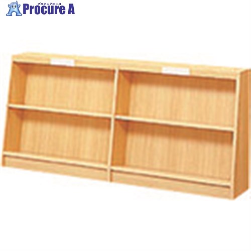 PLUS 23007)傾斜角度書物棚(片面型) TJ-A22KK TJ-A22KK 1台 ■▼210-2091 【貨物輸送都度積もり書き】
